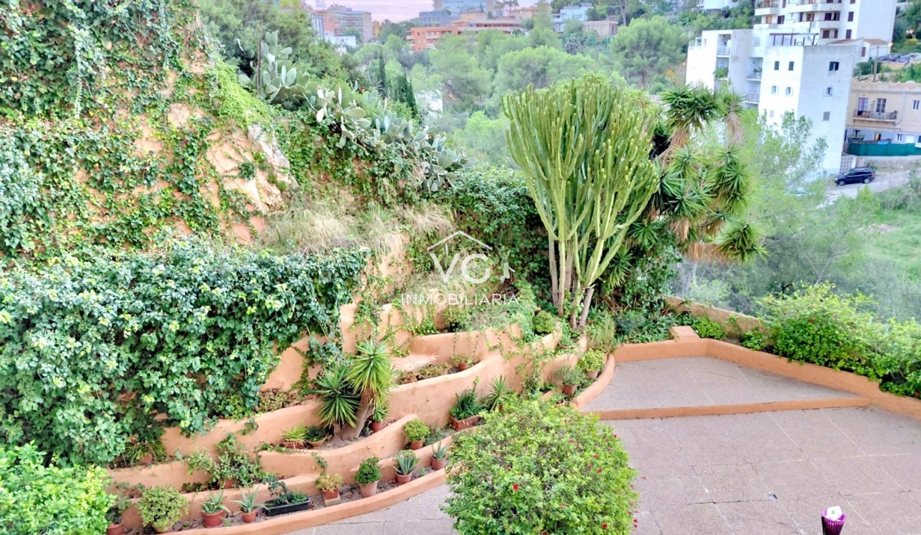 Sale - Apartment / flat - Palma - El Terreno