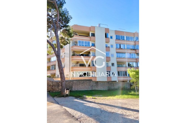 Sale - Apartment / flat - Palma - El Terreno