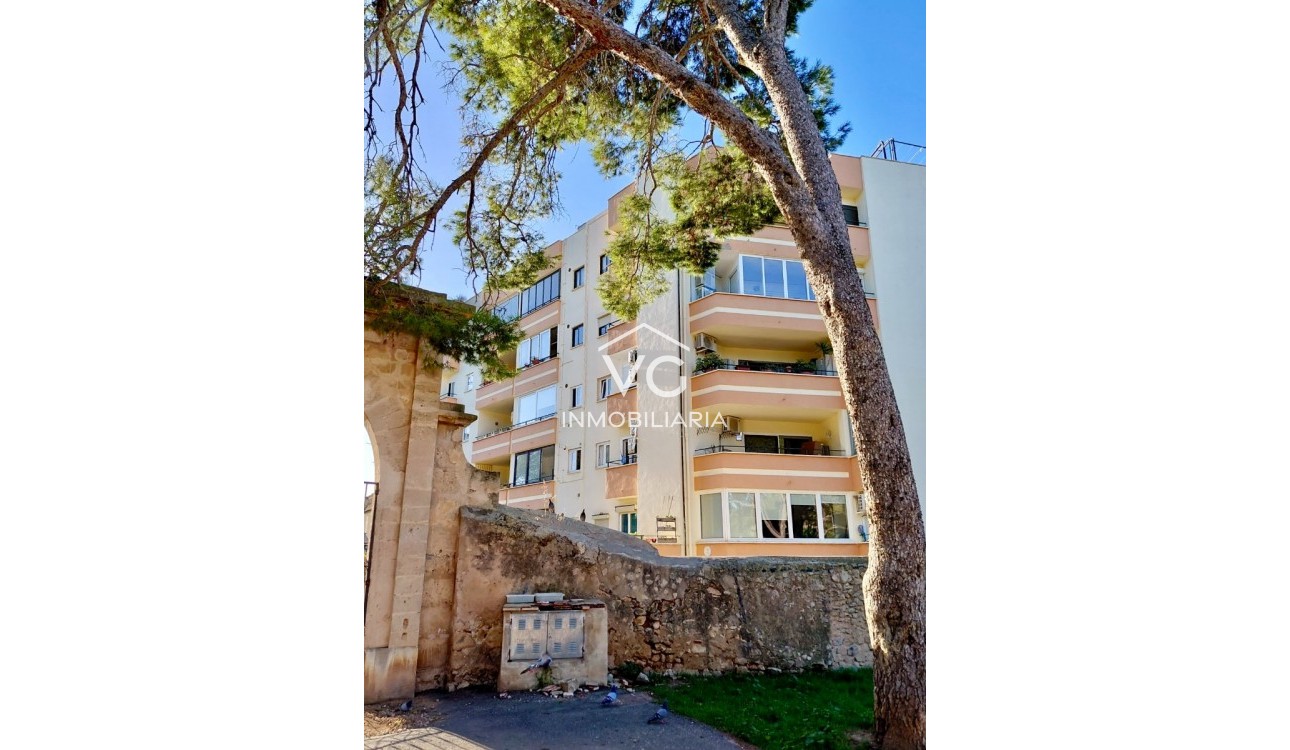 Sale - Apartment / flat - Palma - El Terreno